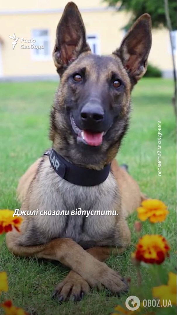 Освобожденный из плена украинский пограничник воссоединился с собакой, которую спасли из оккупации. Видео