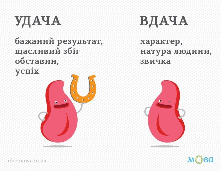 Значення зовсім різне: чим відрізняються "вдача" і "удача"