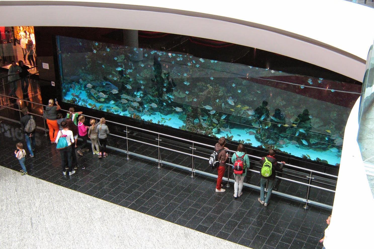 Аквариум в торговом центре Ocean Plaza