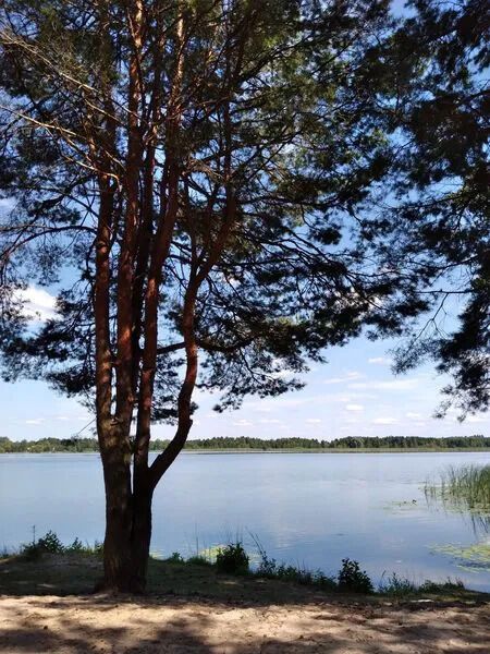 Найкраще озеро для відпочинку – Шацьк