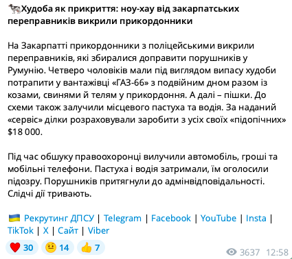 "Прикривались" худобою: на Закарпатті викрили хитру схему з переправлення чоловіків за кордон. Фото