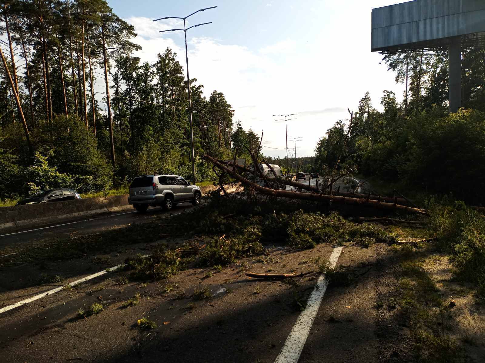 Деревья на дорогах, поврежденные авто и дома: спасатели показали последствия непогоды в Киеве. Фото