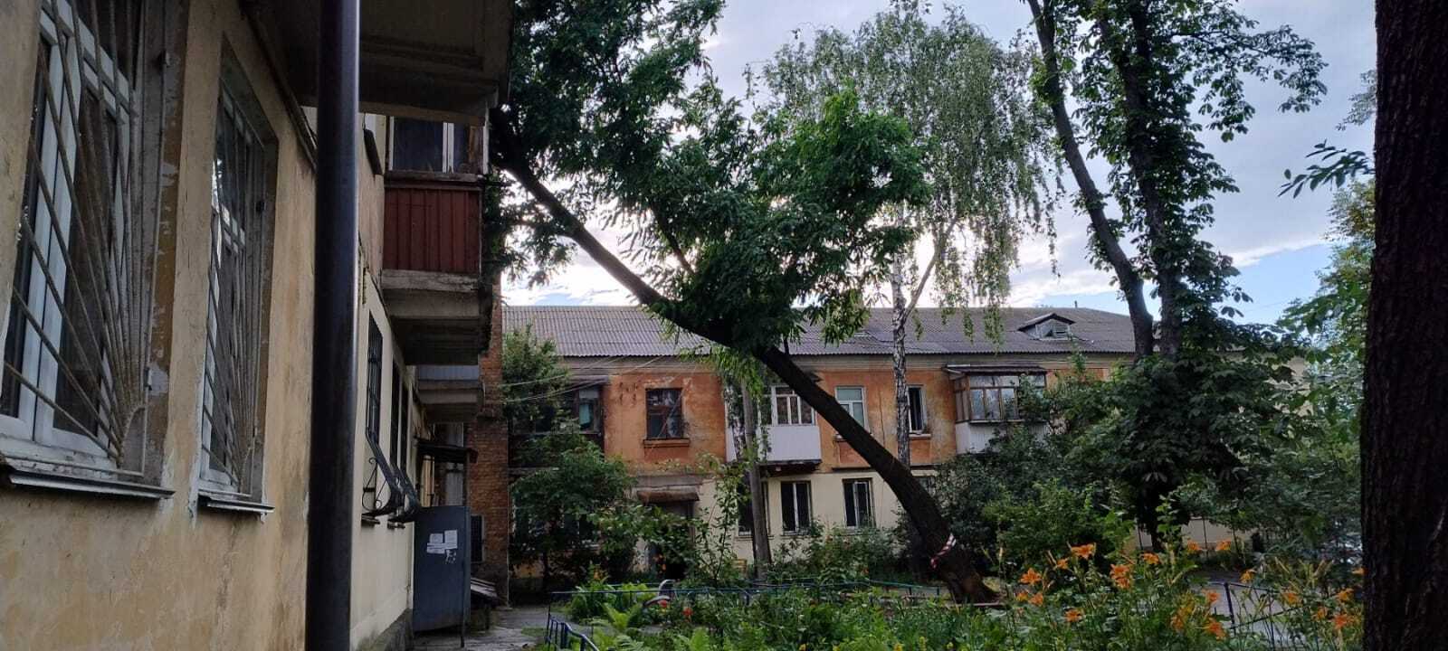 Деревья на дорогах, поврежденные авто и дома: спасатели показали последствия непогоды в Киеве. Фото