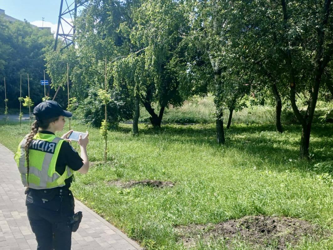 У Києві невідомі викрали сакури зі скверу пам'яті загиблих журналістів: усі подробиці