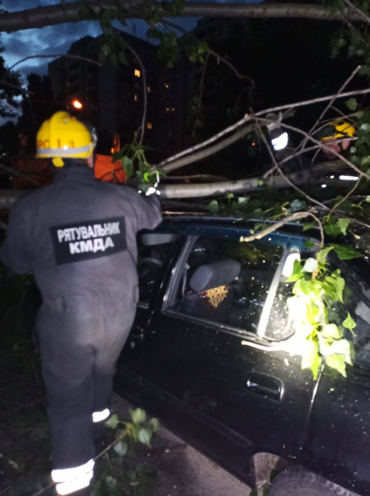 Деревья на дорогах, поврежденные авто и дома: спасатели показали последствия непогоды в Киеве. Фото