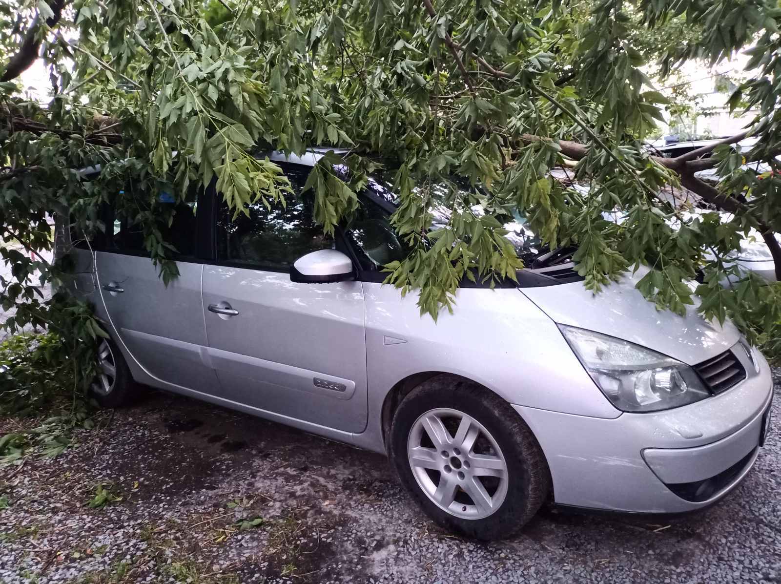 Деревья на дорогах, поврежденные авто и дома: спасатели показали последствия непогоды в Киеве. Фото
