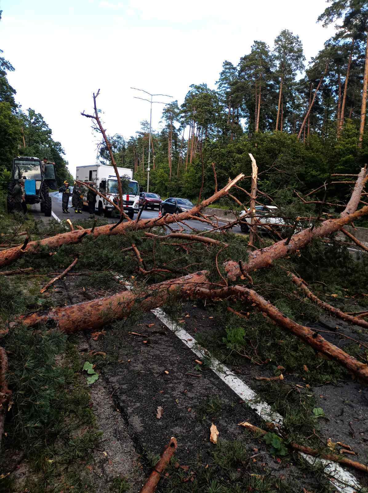 Деревья на дорогах, поврежденные авто и дома: спасатели показали последствия непогоды в Киеве. Фото