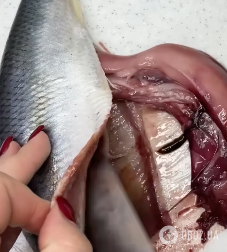 Як правильно чистити оселедець