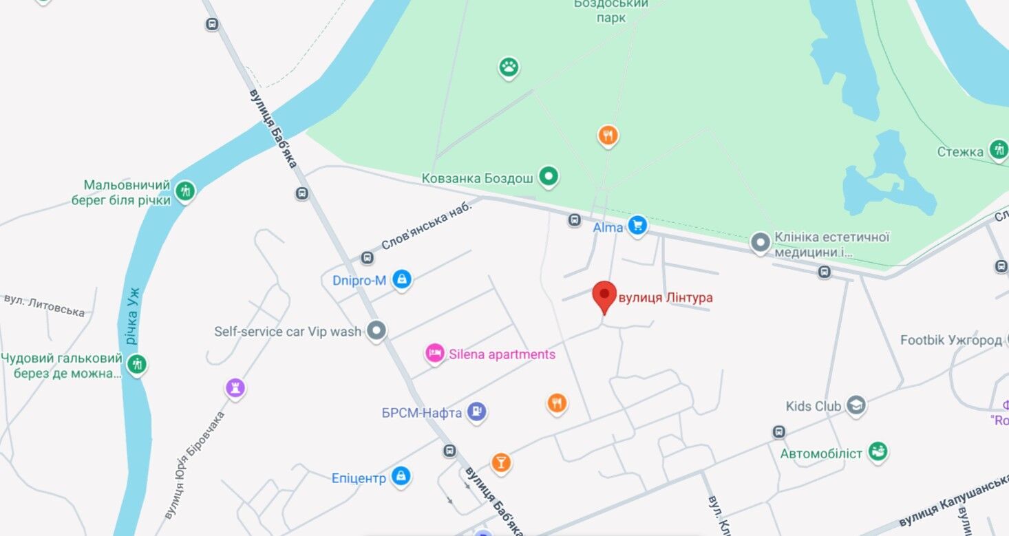 В Ужгороді водійка знесла шість автівок і зупинилась "у дереві": результат алкотесту здивував усіх. Фото і відео