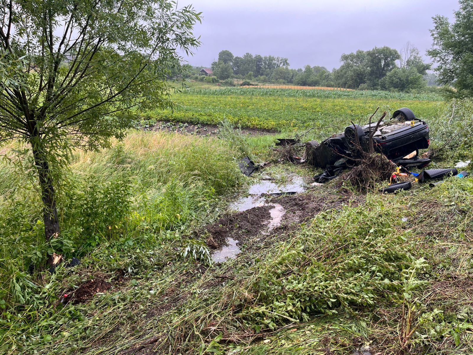 На Львівщині авто влетіло в дерево і перекинулося: дві людини загинули на місці. Фото