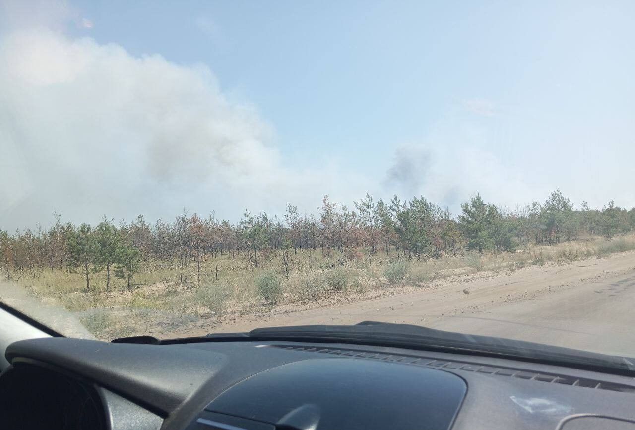 Біля окупованого Сіверськодонецька вигоріло понад 100 га лісу: ситуація некотрольована