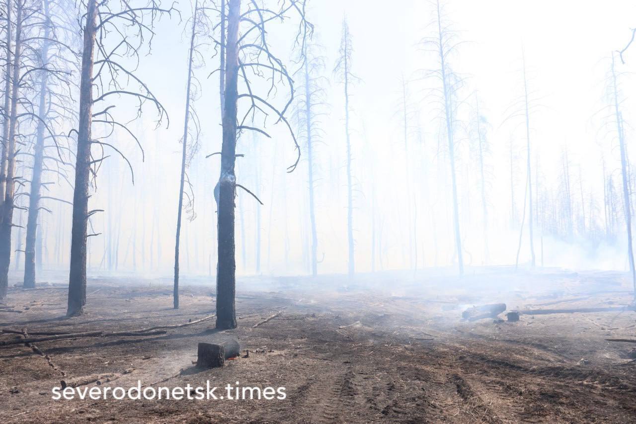 Біля окупованого Сіверськодонецька вигоріло понад 100 га лісу: ситуація некотрольована
