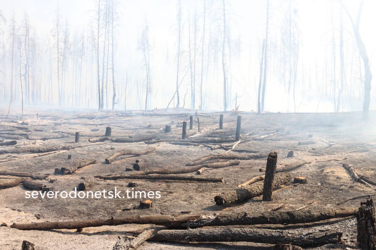 Біля окупованого Сіверськодонецька вигоріло понад 100 га лісу: ситуація некотрольована