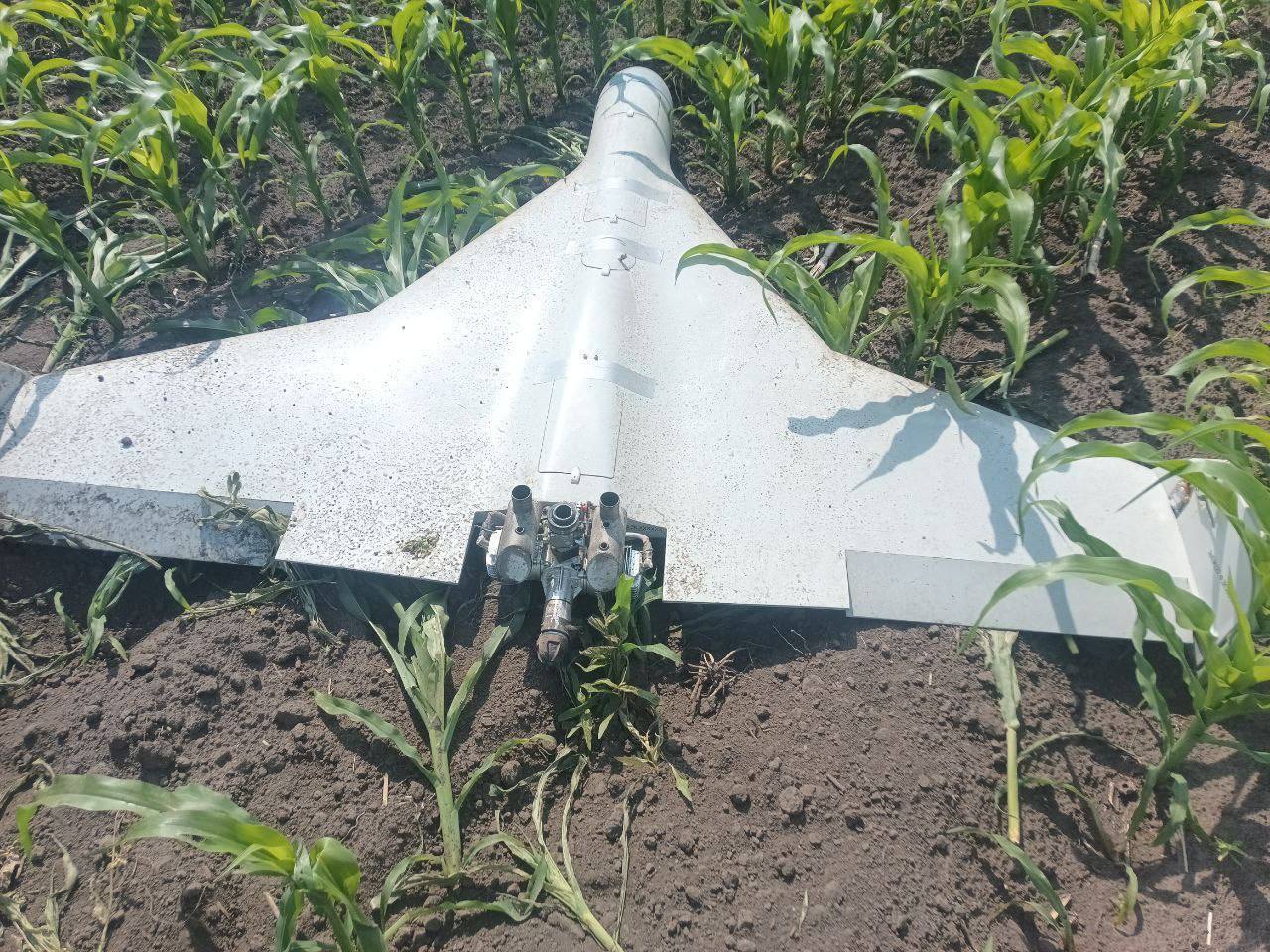 Похожие на "Шахеды", но меньше и на FPV-управлении: в ВСУ начали фиксировать новый тип фронтовых дронов врага. Фото