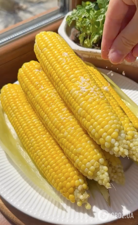 Як смачно приготувати молоду кукурудзу