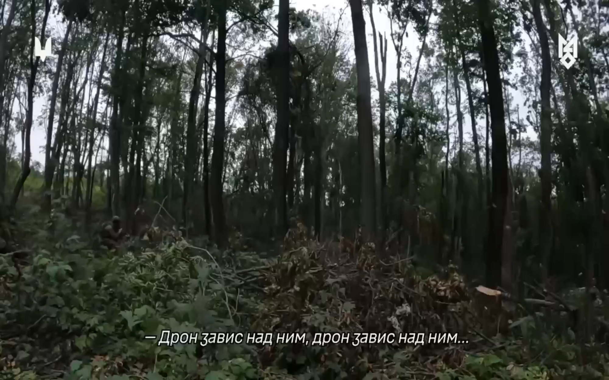 Уничтожена живая сила врага: воины ССО совершили успешный налет в тылу оккупантов. Видео
