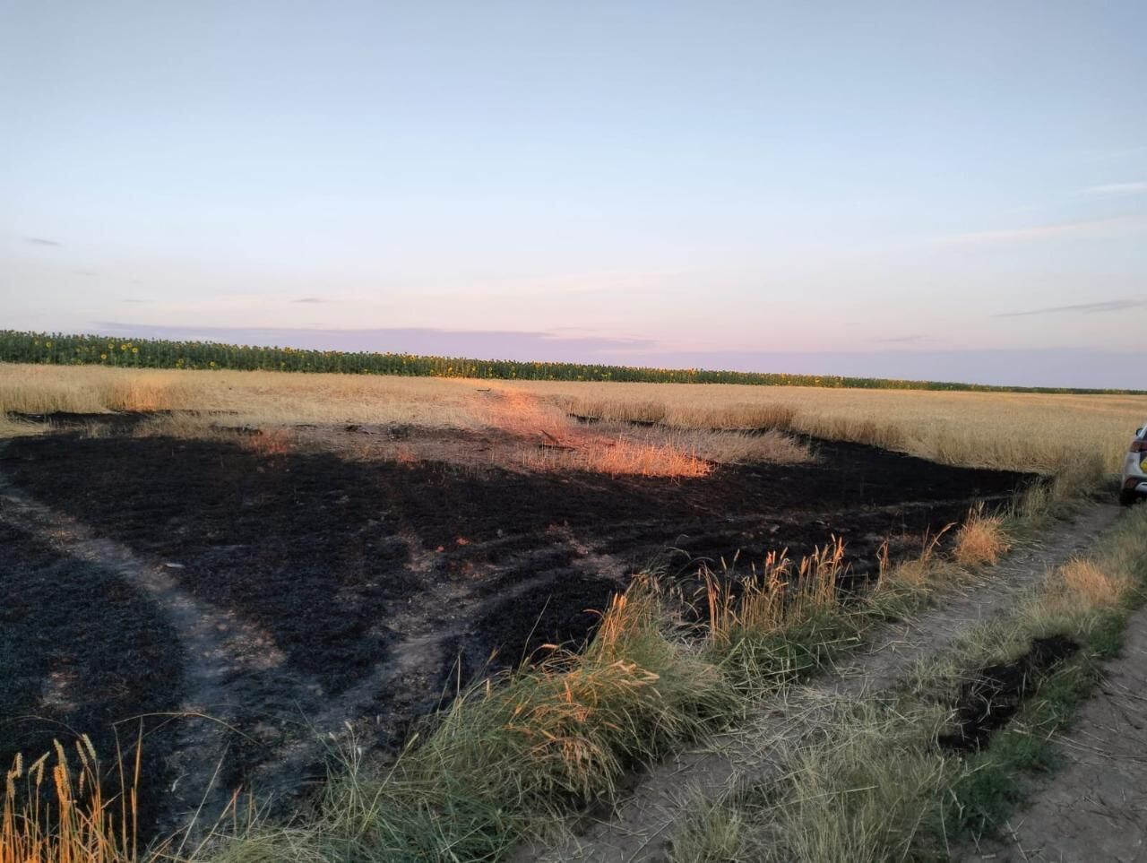 Россия атаковала Украину баллистической ракетой и 400 БПЛА: силы ПВО сбили 198 "Шахедов, 145 дронов-имитаторов были обезврежены
