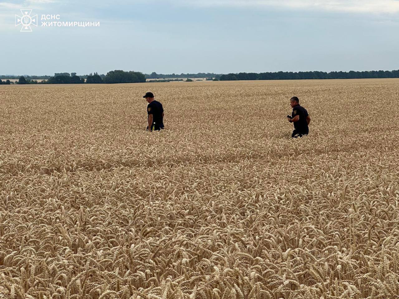 Заблудилась и уснула: пропавшую на Житомирщине 3-летнюю девочку нашли в лесу. Фото
