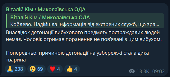 В Коблево Николаевской области сдетонировала мина на побережье: что известно