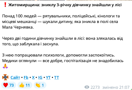 Заблудилась и уснула: пропавшую на Житомирщине 3-летнюю девочку нашли в лесу. Фото