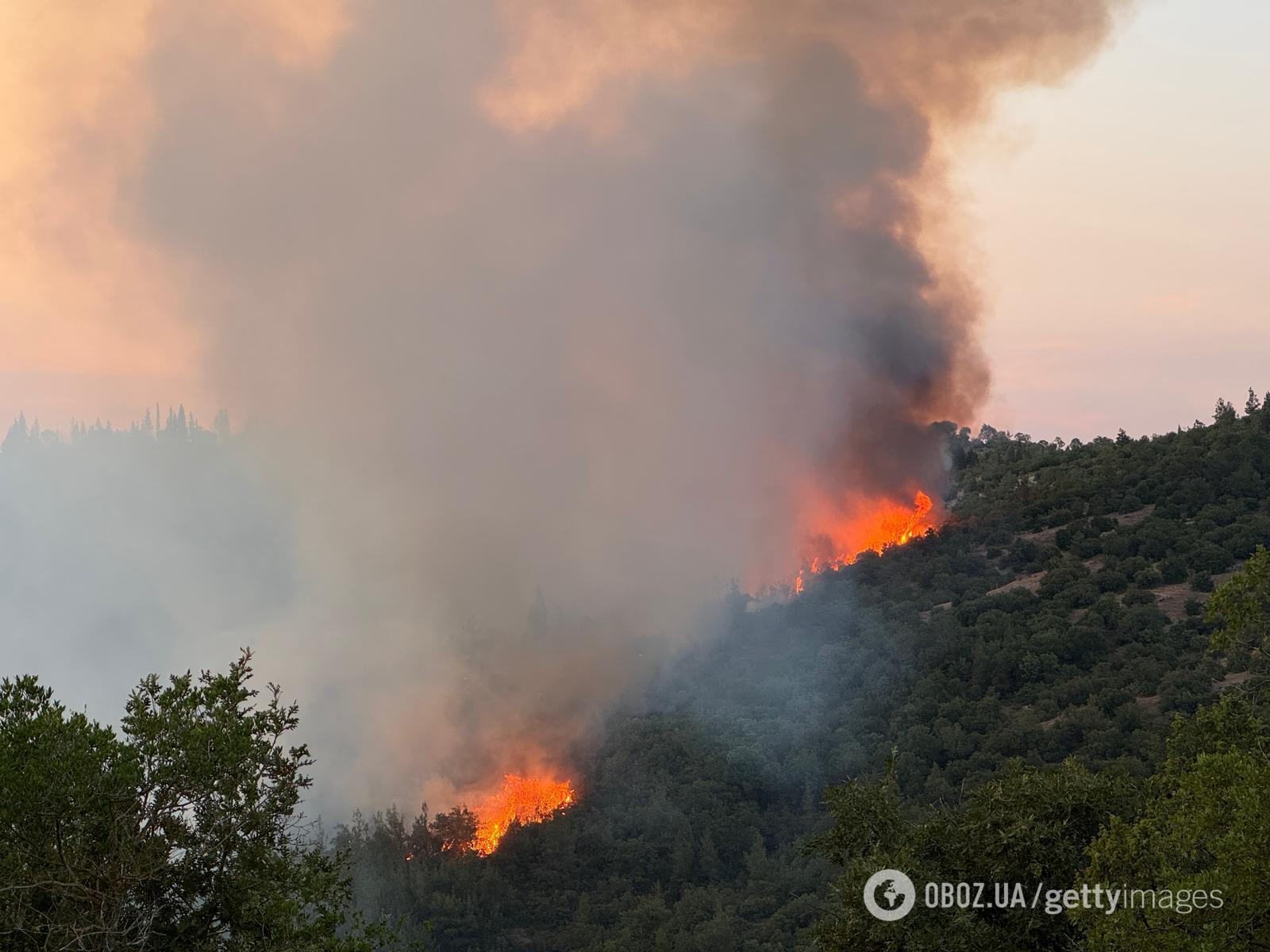 У Туреччині через лісові пожежі евакуюють цілі села: для гасіння залучено сотні одиниць техніки. Фото