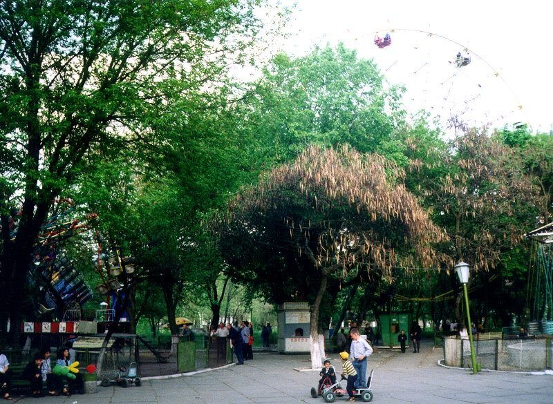 Херсон понад 20 років тому: у мережі показали архівні фото