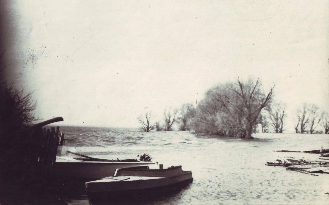 В сети показали, как выглядела Троещина в Киеве в 1970-х годах. Старые фото