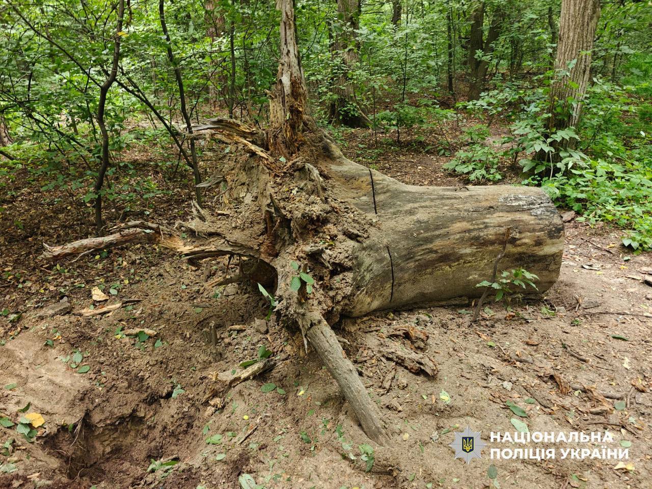 Нашли в шахте лифта: в Киеве взорвали кассетный боеприпас из поврежденного дома. Фото