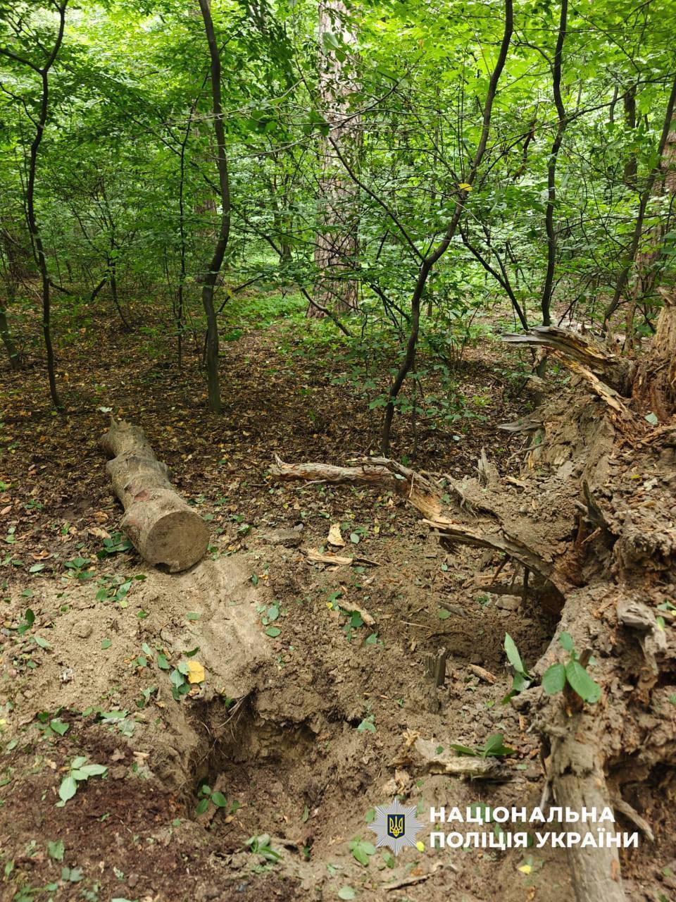 Нашли в шахте лифта: в Киеве взорвали кассетный боеприпас из поврежденного дома. Фото