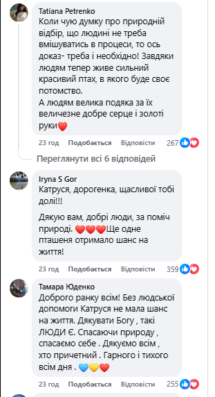 "Навіть не віриться": врятоване лелеченя Катруся знайшло зграю, мережу зворушили кадри "прощального" польоту. Відео