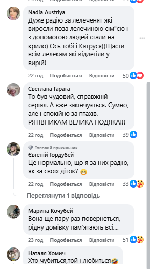 "Навіть не віриться": врятоване лелеченя Катруся знайшло зграю, мережу зворушили кадри "прощального" польоту. Відео