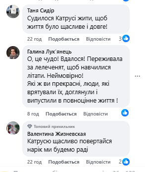 "Навіть не віриться": врятоване лелеченя Катруся знайшло зграю, мережу зворушили кадри "прощального" польоту. Відео