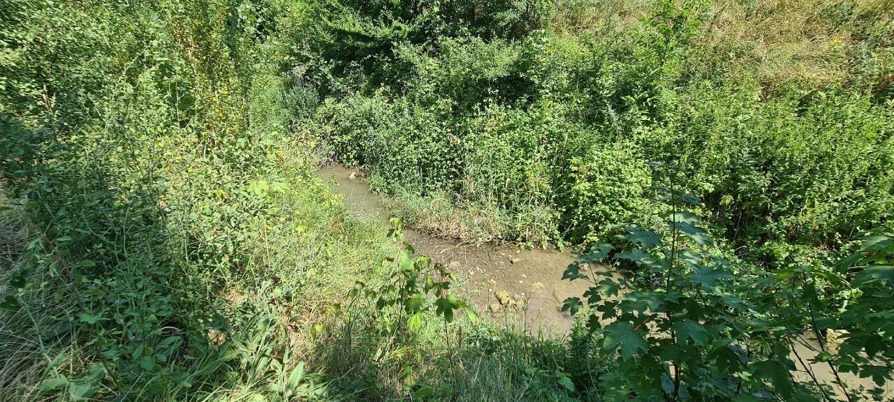 Россияне загубили водные объекты Крыма: крупнейшая река начала высыхать. Фото