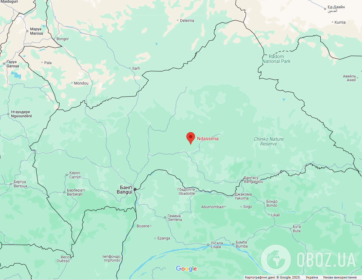 В ЦАР на золотодобывающей шахте, связанной с РФ, расстреляли 11 человек