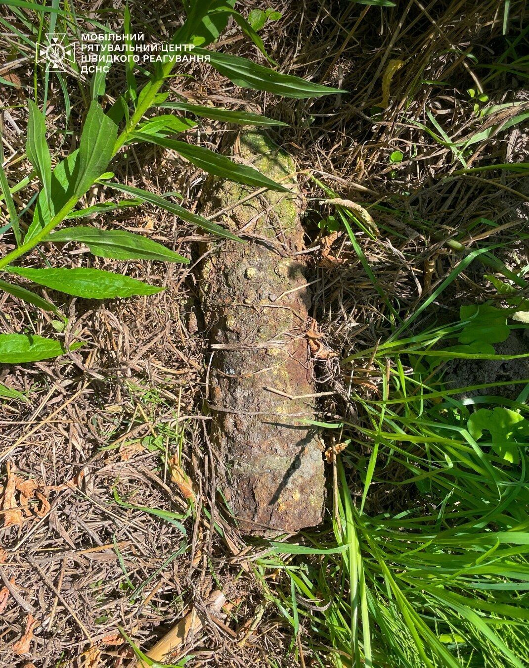 На Киевщине местные жители во время работ на огороде выкопали боеприпасы. Подробности и фото