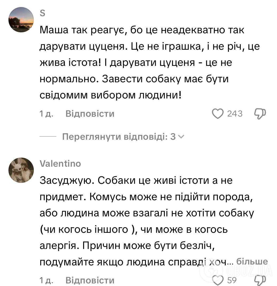 "Тварини – це не іграшки!" Поляковій та Єфросиніній на концерті "Дорослих дівчат" у Чернівцях подарували цуценят: мережа обурена