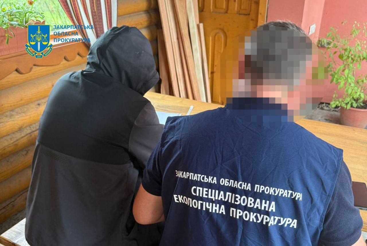 Вырубки в регионе продолжаются