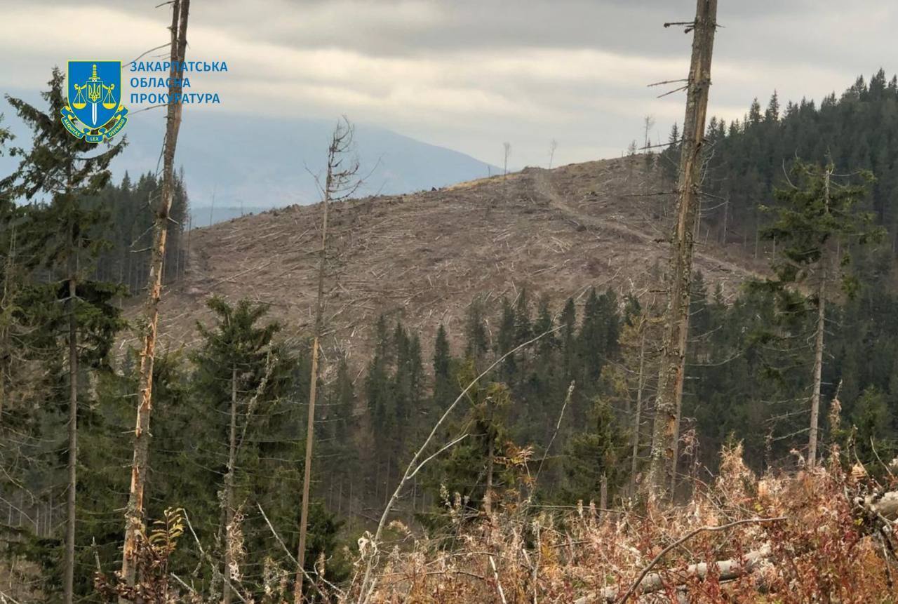 Государству нанесен колоссальный ущерб
