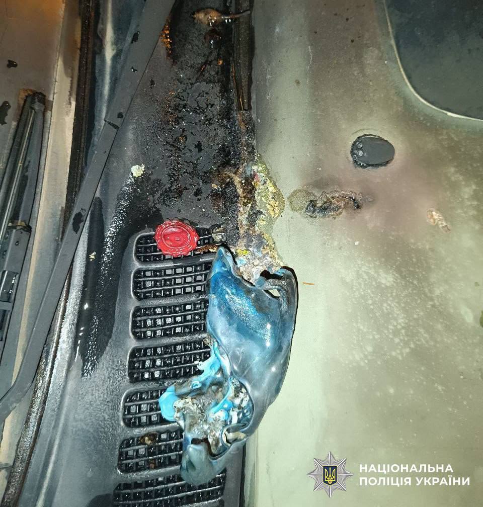 На заказ поджигали машины по ночам: в Киеве правоохранители задержали двух злоумышленников. Фото