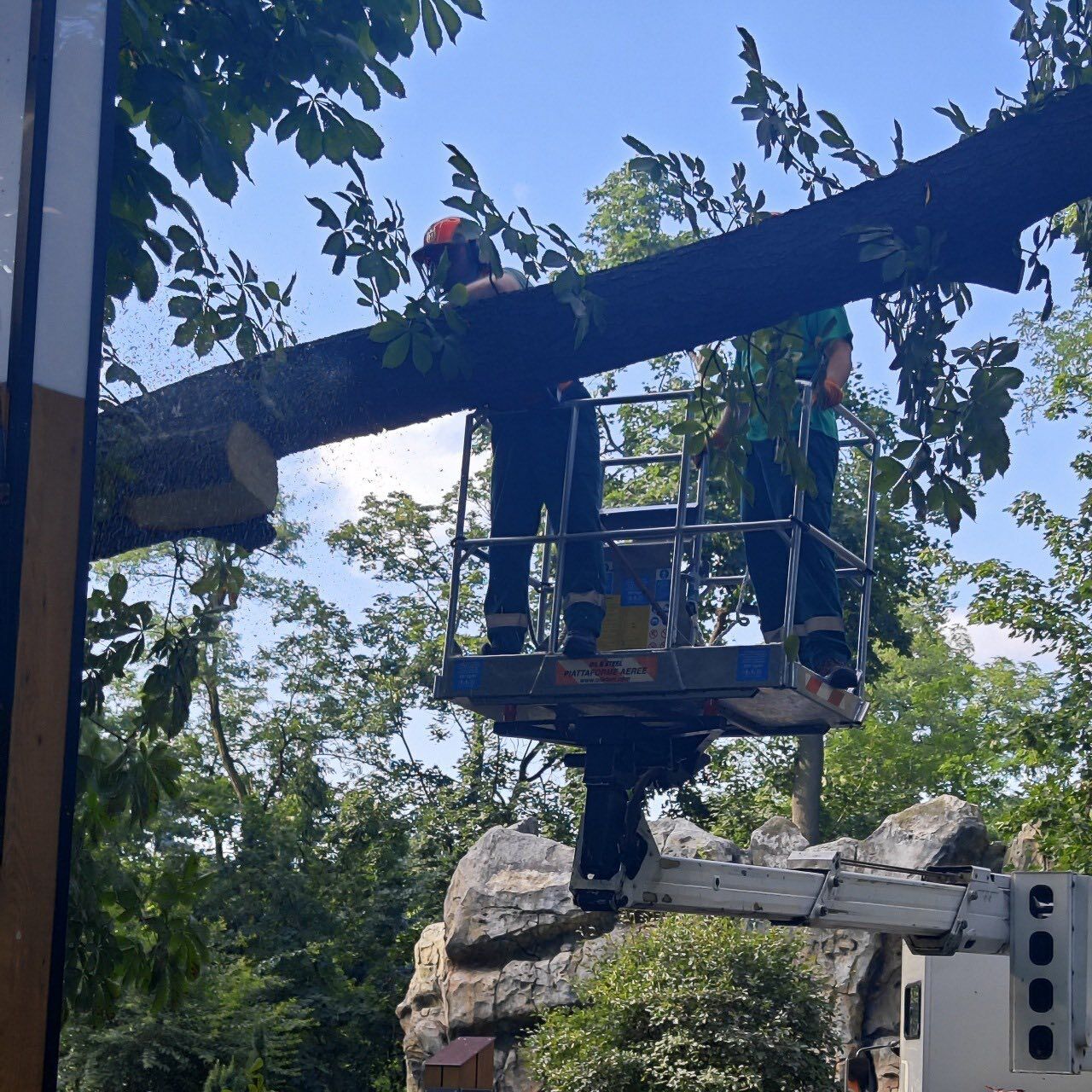 Повреждены вольеры, сломаны деревья: Киевский зоопарк пострадал в результате непогоды 22 июля. Фото