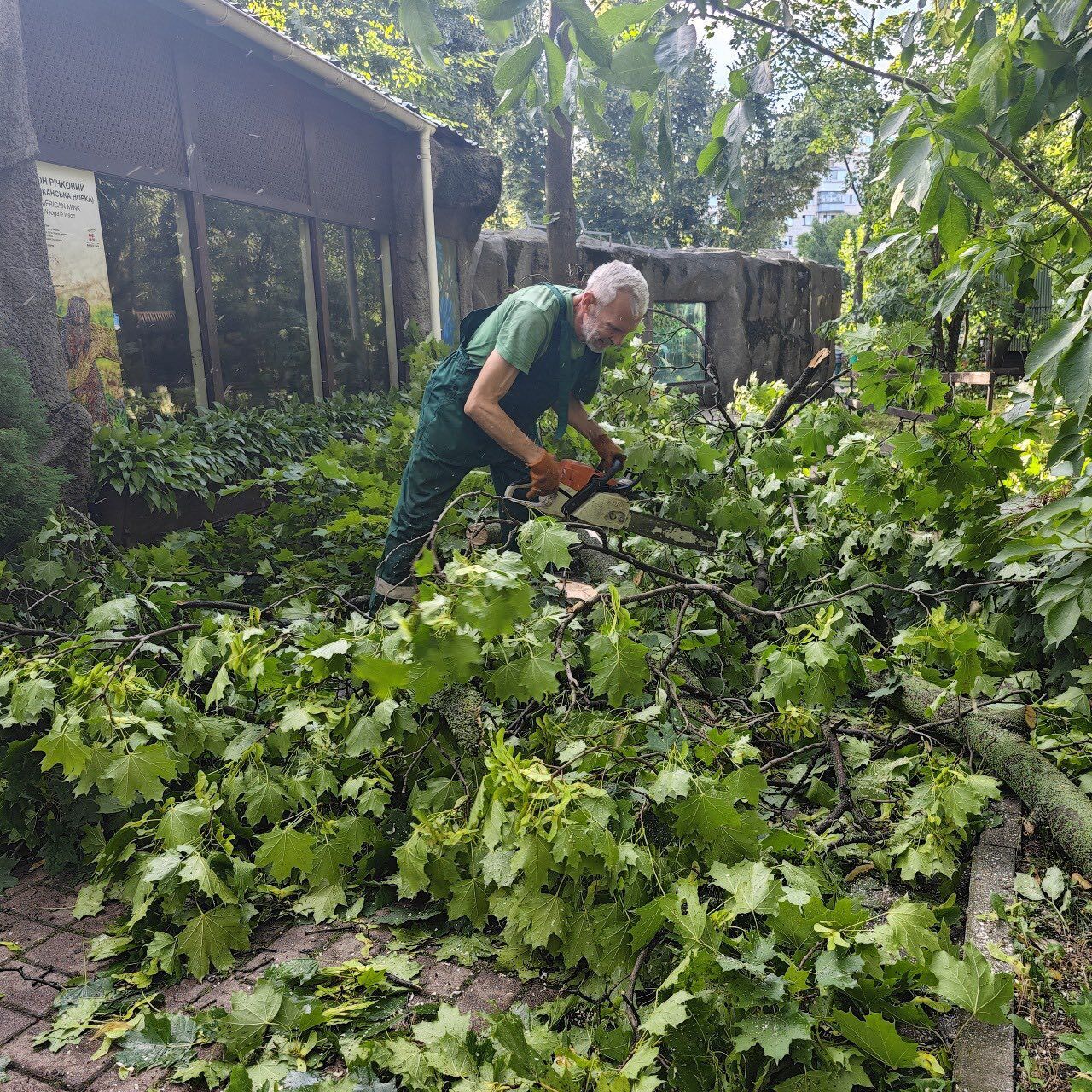 Повреждены вольеры, сломаны деревья: Киевский зоопарк пострадал в результате непогоды 22 июля. Фото
