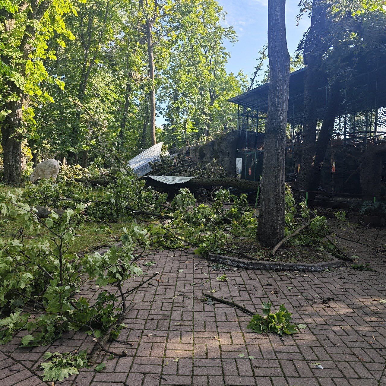 Повреждены вольеры, сломаны деревья: Киевский зоопарк пострадал в результате непогоды 22 июля. Фото