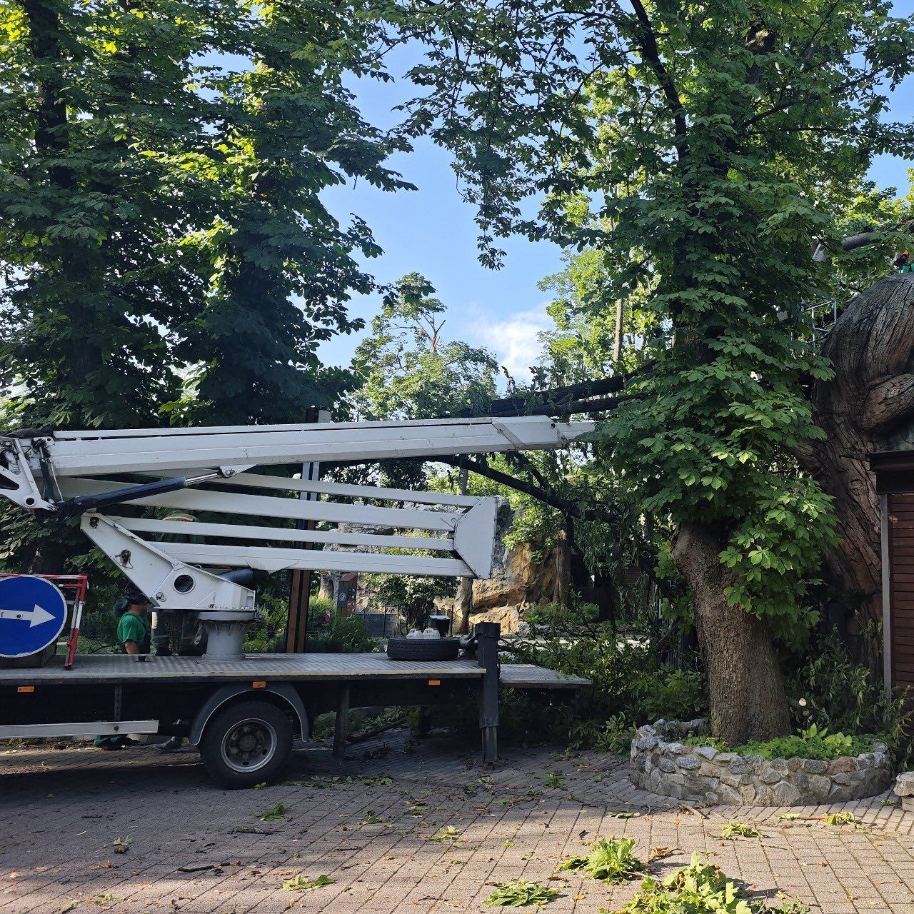 Повреждены вольеры, сломаны деревья: Киевский зоопарк пострадал в результате непогоды 22 июля. Фото