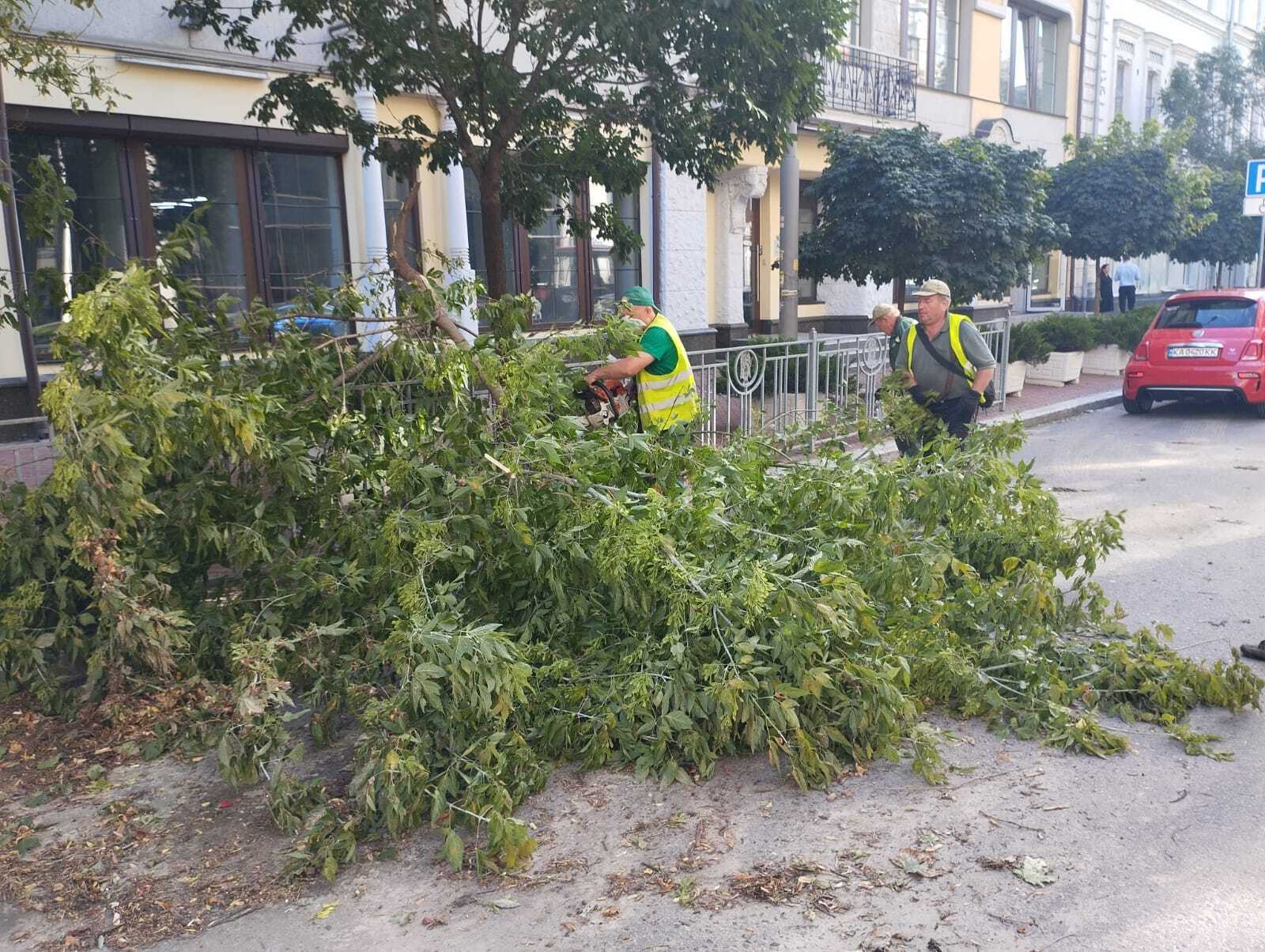 У КМДА розповіли про наслідки негоди, яка вирувала в Києві 22 липня. Подробиці та фото