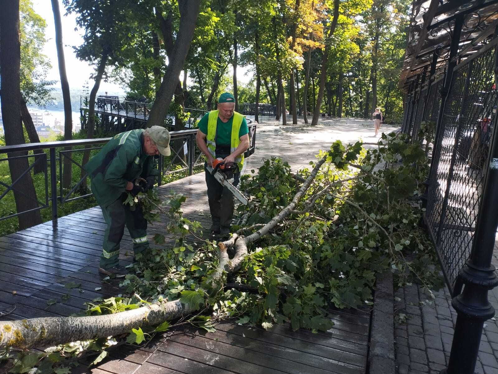 У КМДА розповіли про наслідки негоди, яка вирувала в Києві 22 липня. Подробиці та фото