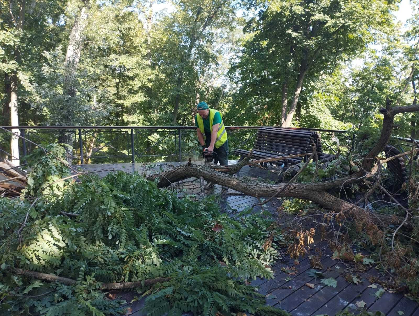 У КМДА розповіли про наслідки негоди, яка вирувала в Києві 22 липня. Подробиці та фото
