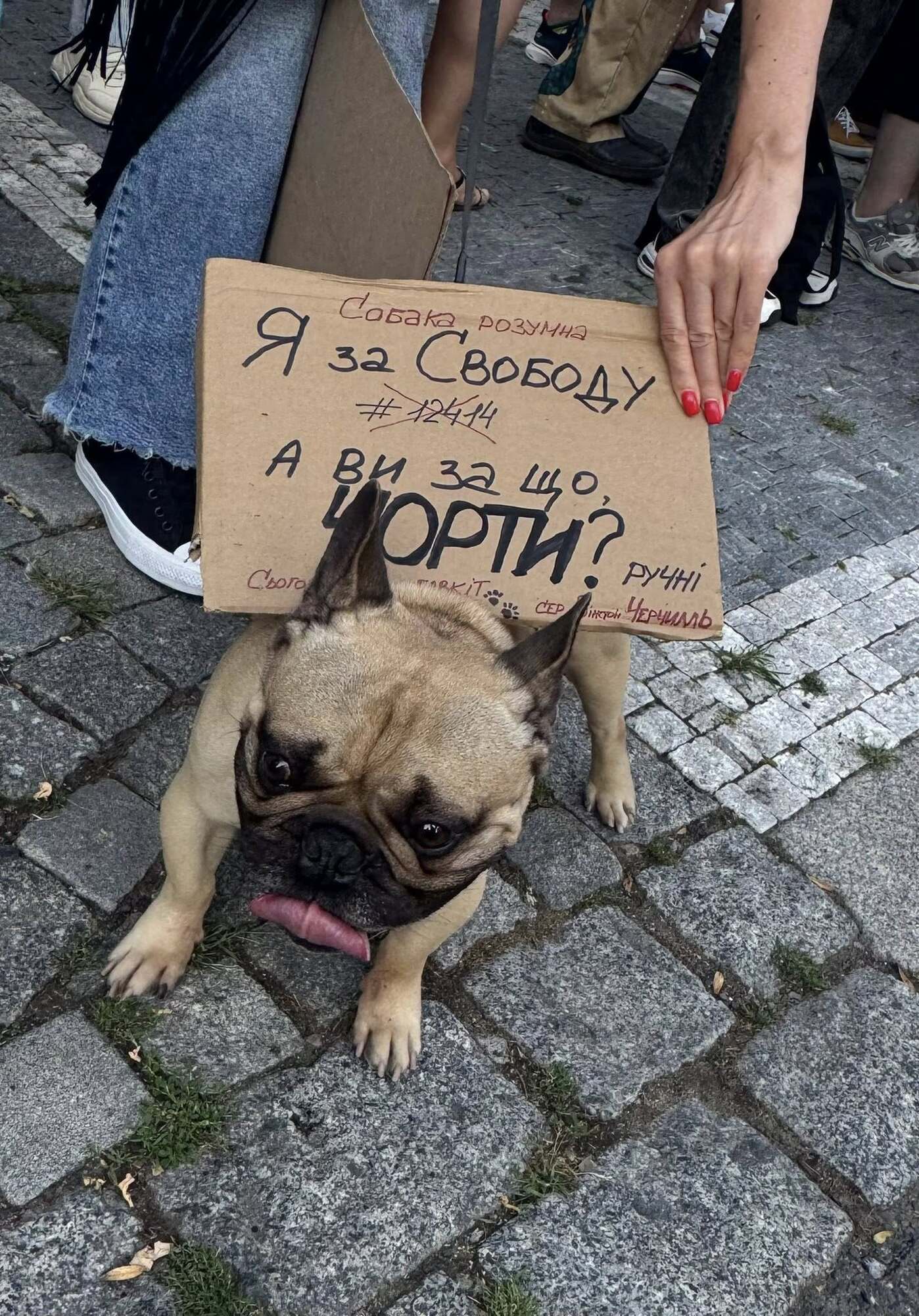 Украинцы в Варшаве и Праге также вышли на протест против закона о НАБУ и САП. Фото и видео