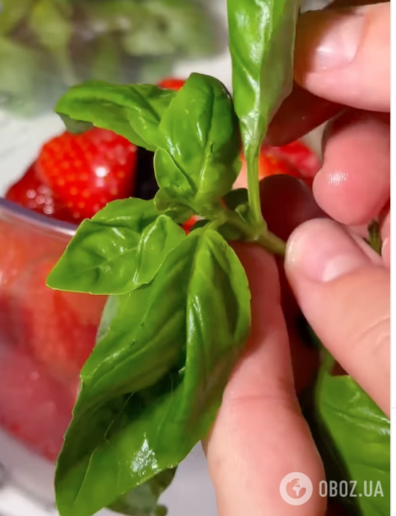 Какую зелень добавить в лимонад для яркого вкуса