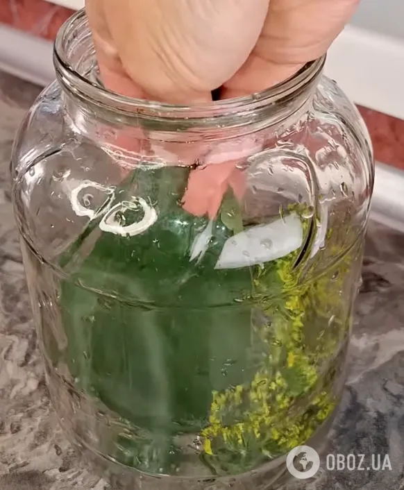 Зелень для закуски