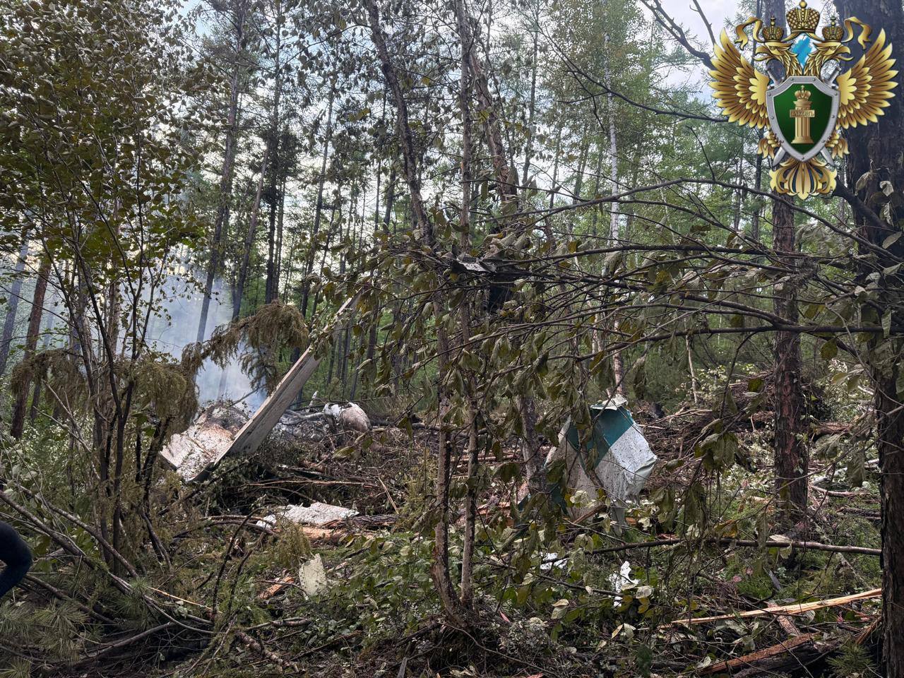 Нашли обломки: в России разбился пассажирский самолет с десятками человек на борту. Видео